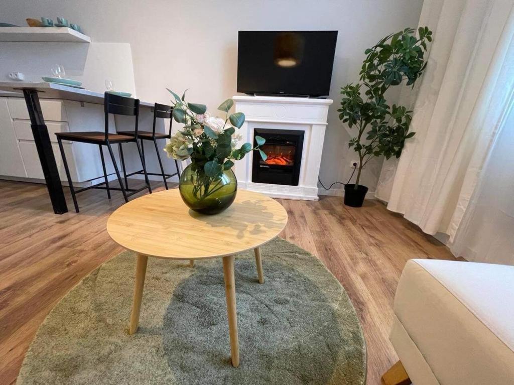 Apartman Vinohrady 布尔诺 外观 照片